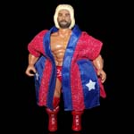 AWA All Star Wrestlers Michael Hayes Loose Complete C9
